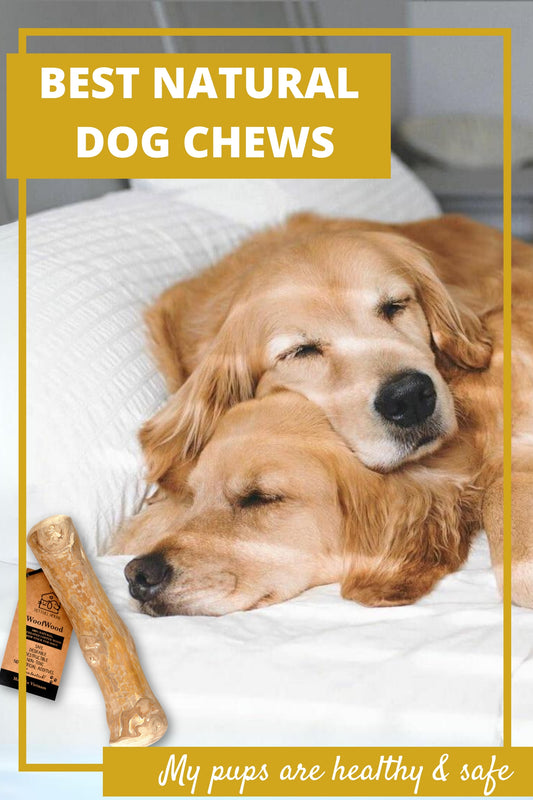 Natural Dog Chews: The Better Choice for Your Pup’s Health