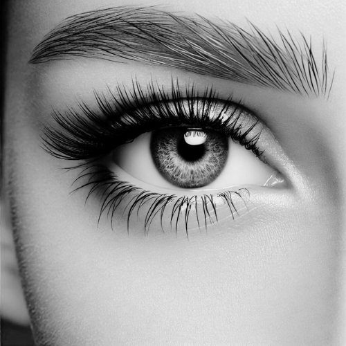 The Ultimate Guide to Eyelash and Eyebrow Care