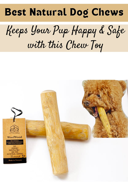 WoofWood Natural Coffee Wood Dog Chew Sticks